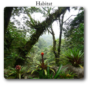 IB environmental science, habitat